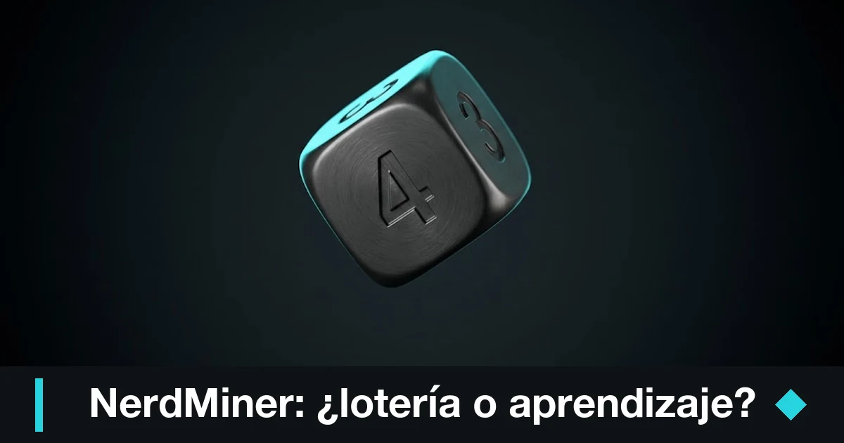 Opiniones sobre Nerdminer